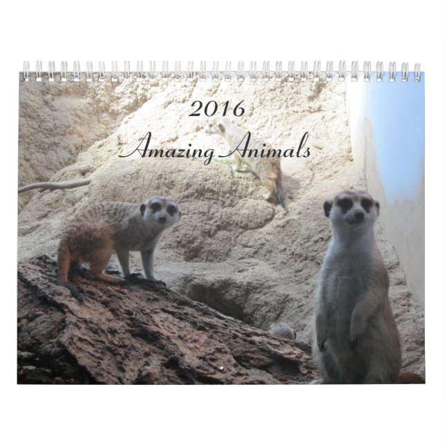 Klugga Djur Kalender (Omslag)
