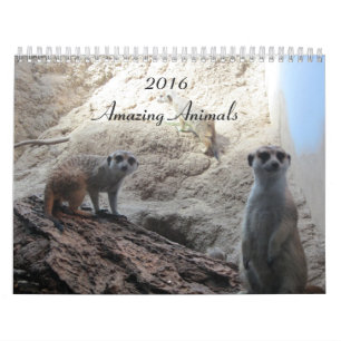 Klugga Djur Kalender