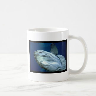 KlumpfiskMolaMola 001 Kaffemugg