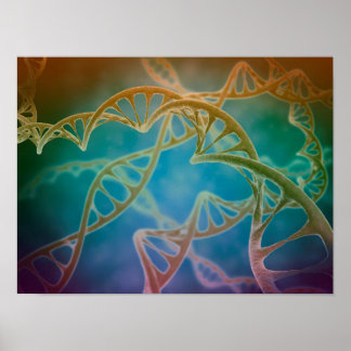 Kluster av DNA-strängar Poster