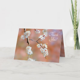 Kluster av japanska aprikosblommor tack kort