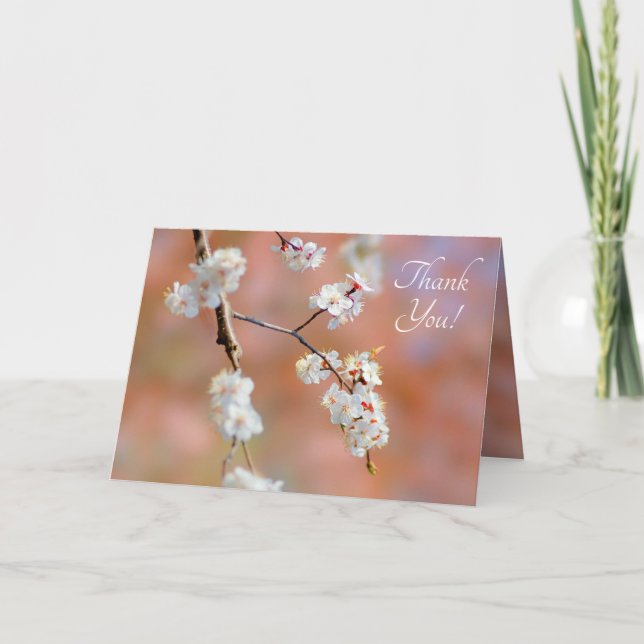 Kluster av japanska aprikosblommor tack kort (Framsida)