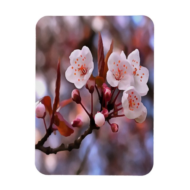 Kluster av körsbär med Rosa och blått Blommar Magnet (Vertikal)