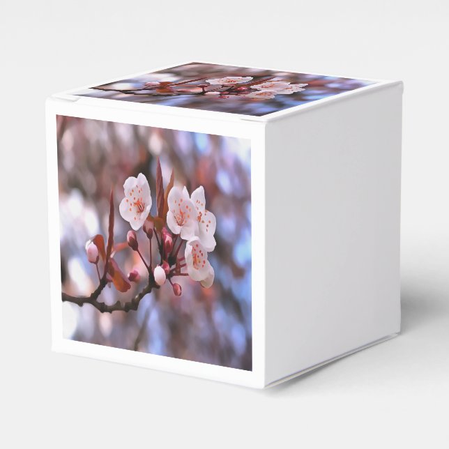 Kluster av körsbär med Rosa och blått Blommar Presentaskar (Framsidan Sidan)