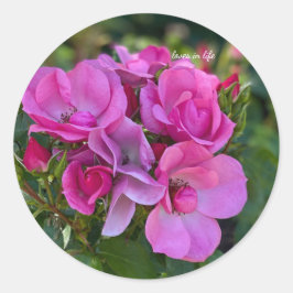 Kluster av lavendel rosa rosor runt klistermärke