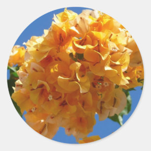 Kluster av Stor Blomsterbougainvillea Tropisk Blom Runt Klistermärke