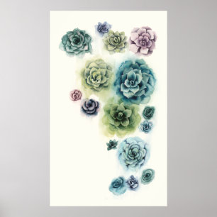 Kluster av sukulenter poster