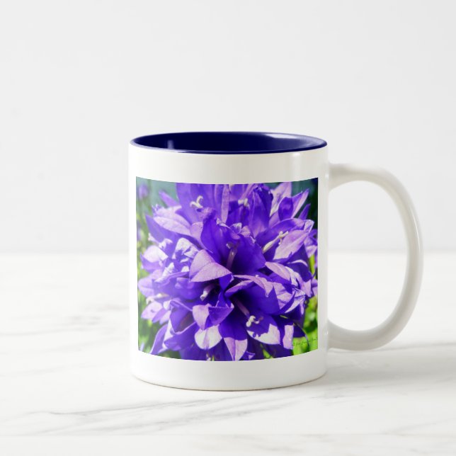 Klusterblomma (Campanula glomerata Superba) Två-Tonad Mugg (Höger)
