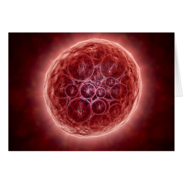 Klustret Blastomeres som bildar en morula Hälsningskort (Framsidan Horizontal)