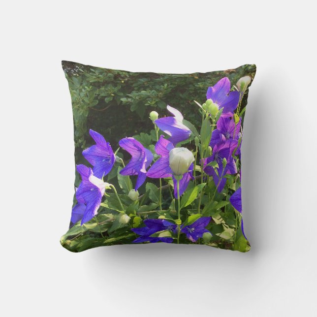 Klustret Campanula (Blue Balloon Flowers) — Kudde (Framsida)