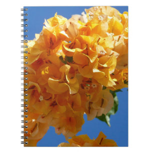 Klustret Golden Bougainvillea Blommigt Anteckningsbok