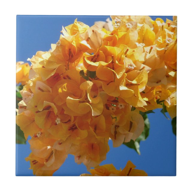 Klustret Golden Bougainvillea Blommigt Kakelplatta (Framsidan)