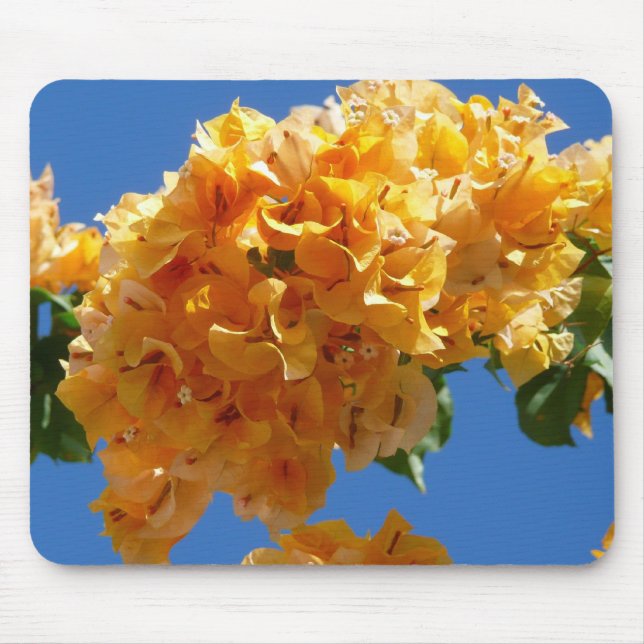 Klustret Golden Bougainvillea Blommigt Musmatta (Framsidan)