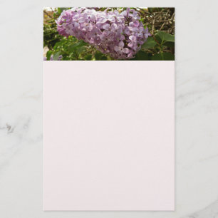 Klustret Lilac Blommar Vår Blommigt Brevpapper
