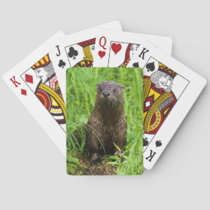 Klyftig flodutter casinokort