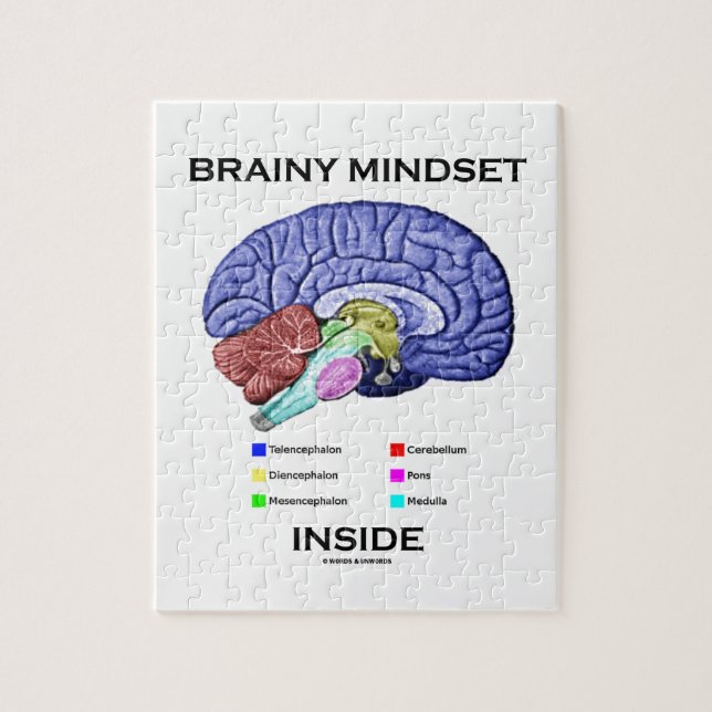 Klyftig Mindsetinsida (den Anatomical hjärnan) Pussel (Vertikal)