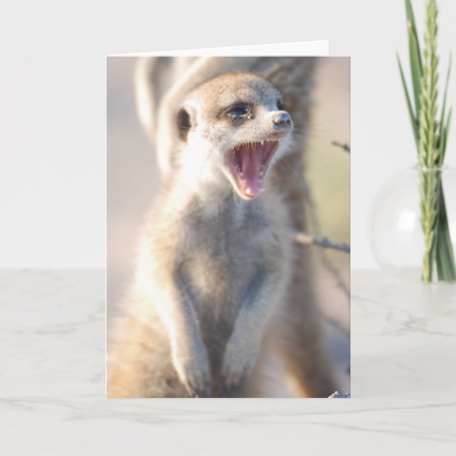 KMP-kort 18 - gäspa klumpen Kort (Framsida)