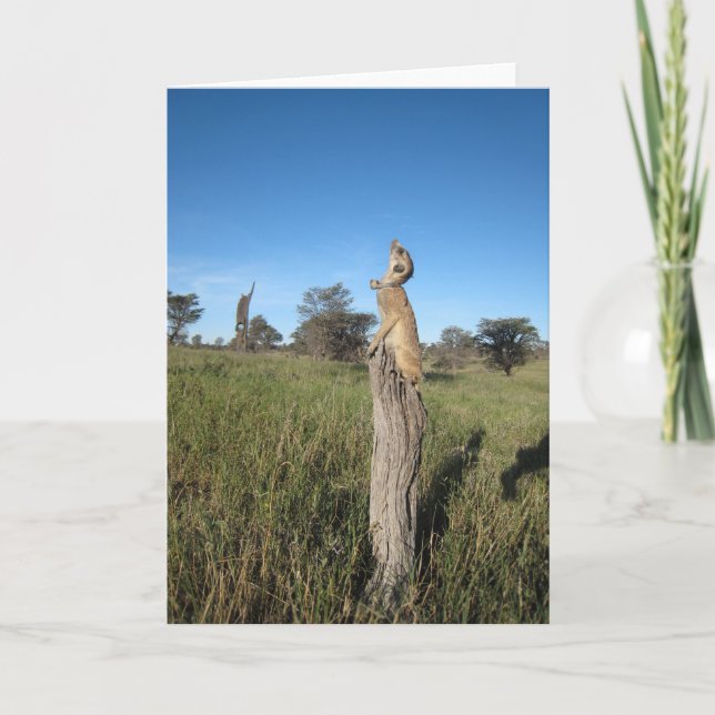 KMP-kort 2 - Monkulus Kort (Framsida)