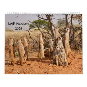 KMP Manguster 2026 Kalender