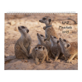 KMP Meerkat 2025-kalender Kalender
