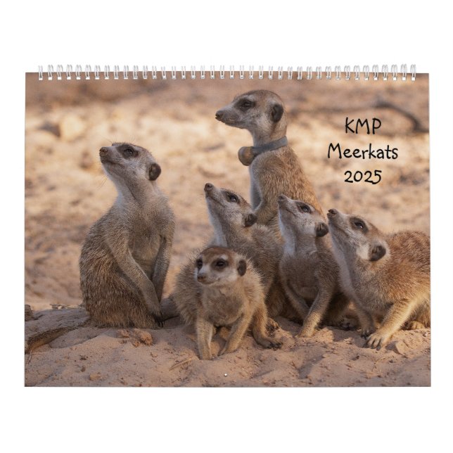 KMP Meerkat 2025-kalender Kalender (Omslag)