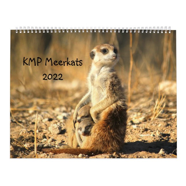KMP Meerkats 2022-kalender Kalender (Omslag)