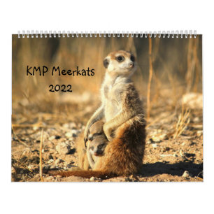 KMP Meerkats 2022-kalender Kalender