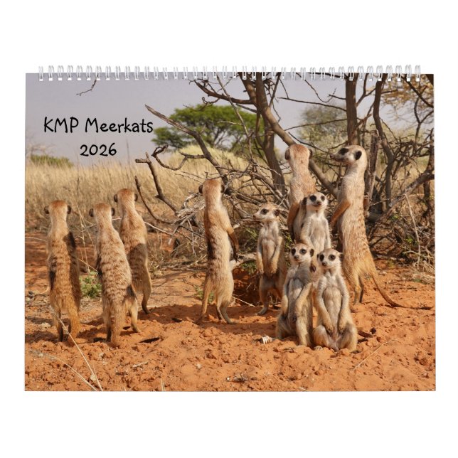 KMP Meerkats 2026 Calendar Kalender (Omslag)