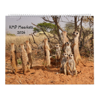KMP Meerkats 2026 Kalender