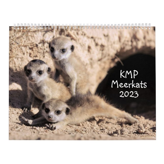 KMP Meerkats Calendar 2023 Kalender (Omslag)