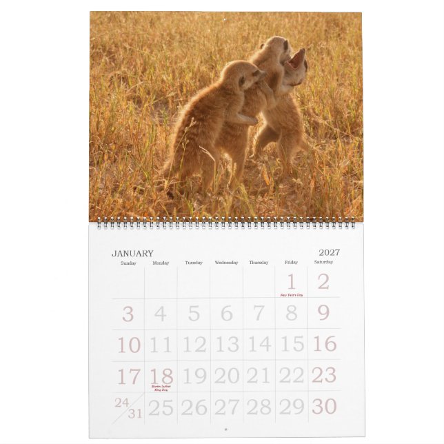 KMP Meerkats - kalender 2009 (Jan 2027)