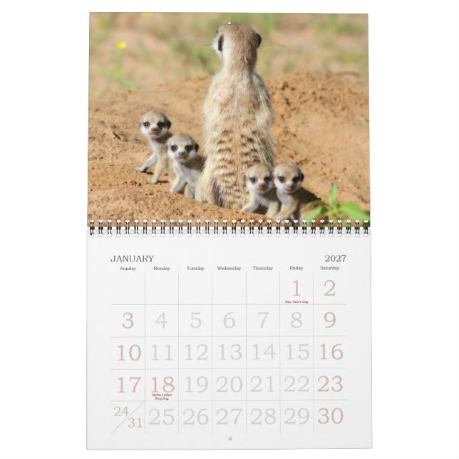 KMP Meerkats - kalender 2015 (Jan 2027)