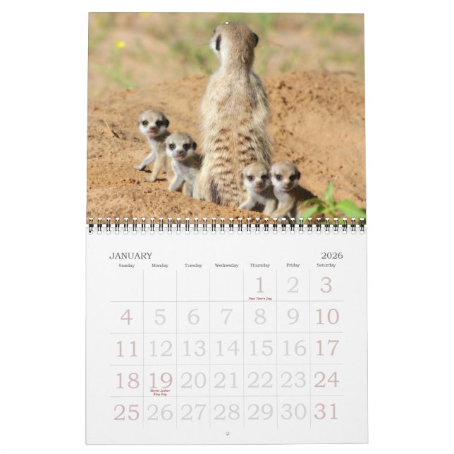 KMP Meerkats - kalender 2015 (Jan 2026)