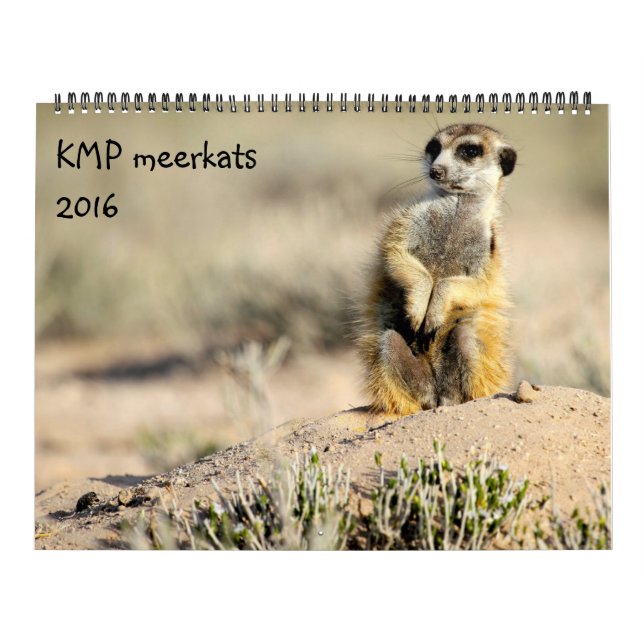 KMP Meerkats - kalender 2016 (Omslag)