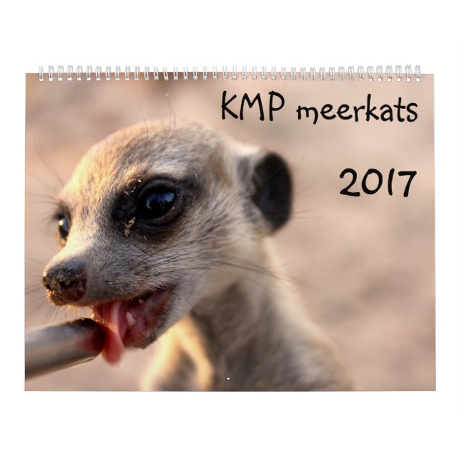 KMP Meerkats - kalender 2017 (Omslag)