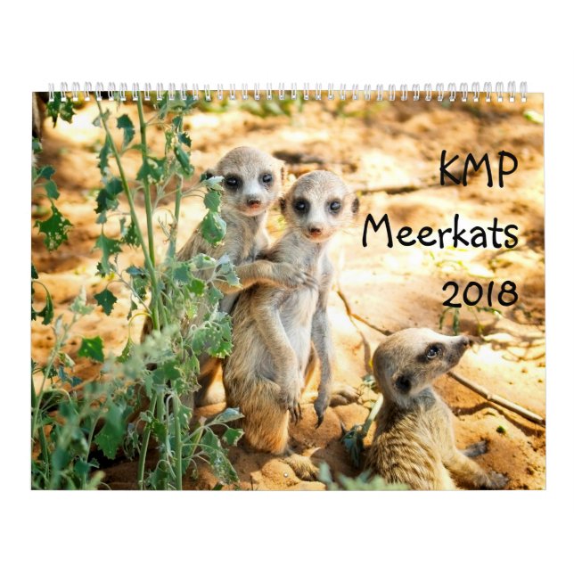 KMP Meerkats - kalender 2018 (Omslag)