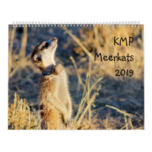KMP-meerkats - kalender 2019