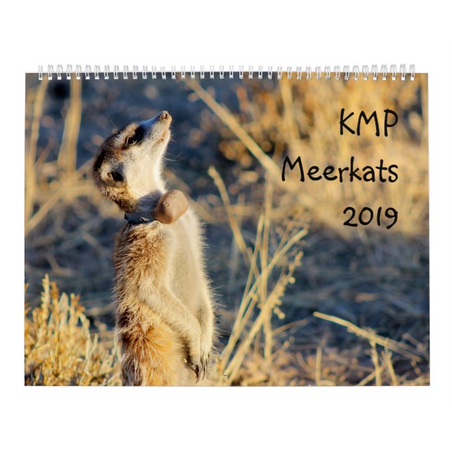 KMP-meerkats - kalender 2019 (Omslag)