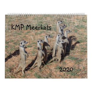 KMP-möten - 2020 Kalender