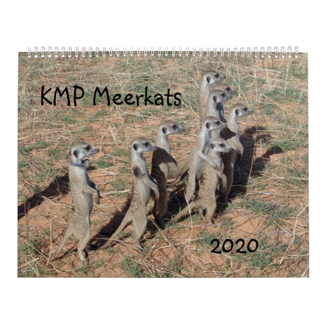 KMP-möten - 2020 Kalender (Omslag)