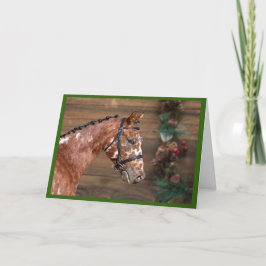 Knabstrupper Stallion Horse Helgdag Card Tack Kort
