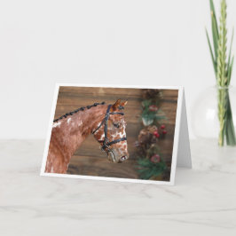 Knabstrupper Stallion Horse Helgdag Card Tack Kort