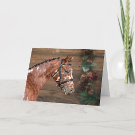 Knabstrupper Stallion Horse Helgdag Card Tack Kort