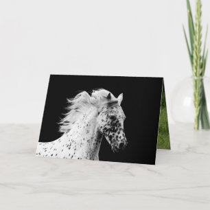 Knabstrupper Stallion Springa Horse Greeting Card Kort