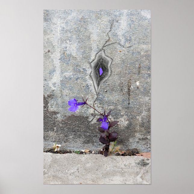 Knäckan i väggen poster (Framsidan)