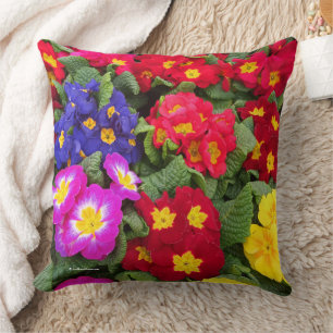 Knäckig Springtime-medley av Primulas Kudde