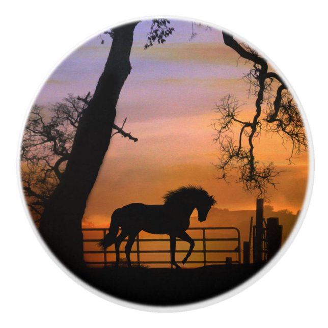 Knäckor Knopp (Framsidan)