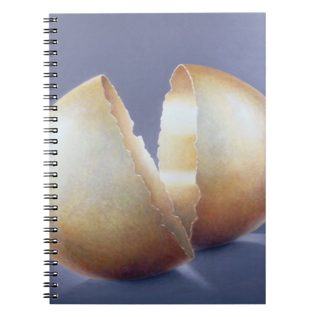 Knäckt bronsåldernägg anteckningsbok med spiral (Framsidan)