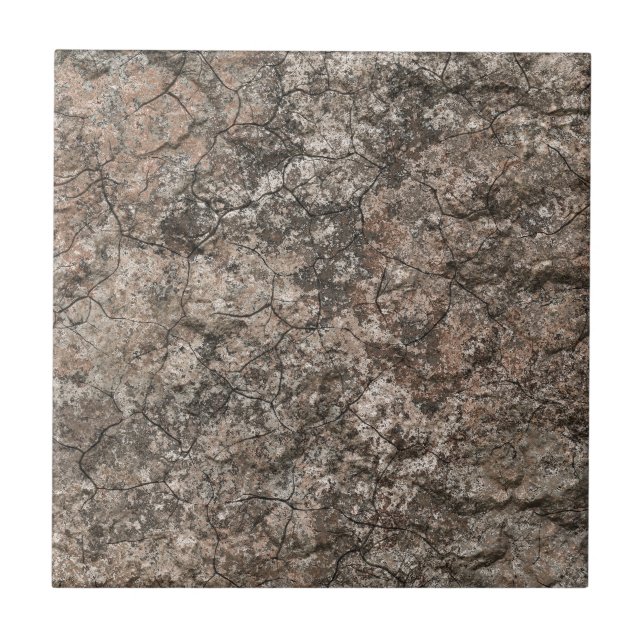 Knäckt torr bakgrund för ökenbottenvåningstruktur kakelplatta (Framsidan)