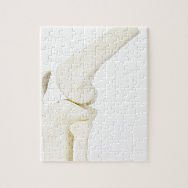 Knäleden modellerar av människa lägger benen på pussel (Vertikal)